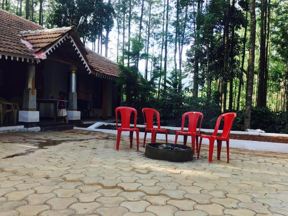 Silver Shadow Homestay Chikmagalūr Exteriör bild